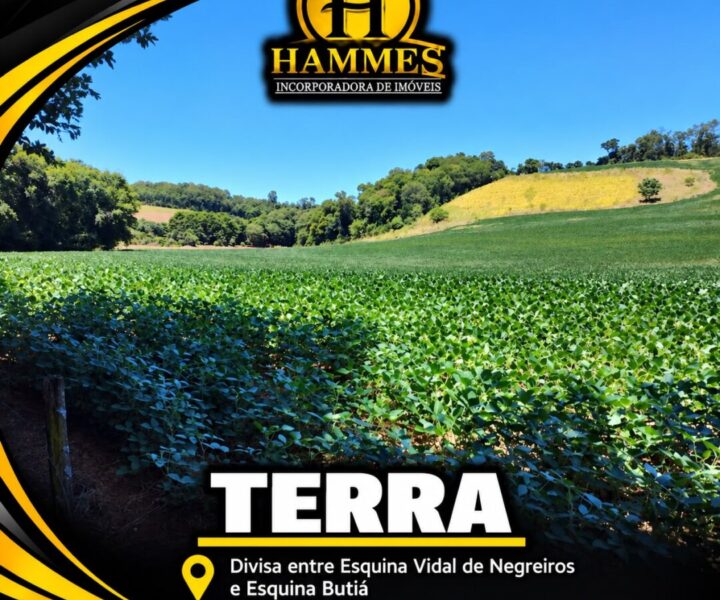 VENDE: LOTE RURAL – 7 hectares com 80% mecanizada, com açude e riacho, 1.3 Km do asfalto, divisa entre Vidal de Negreiros e Esquina Butiá, no interior de Crissiumal – RS