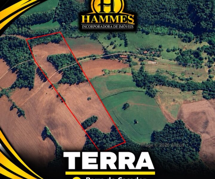 VENDE: Lote Rural – Terra com 6,9 hectares, sem benfeitorias, na Barra do Caçador, interior de Crissiumal – RS